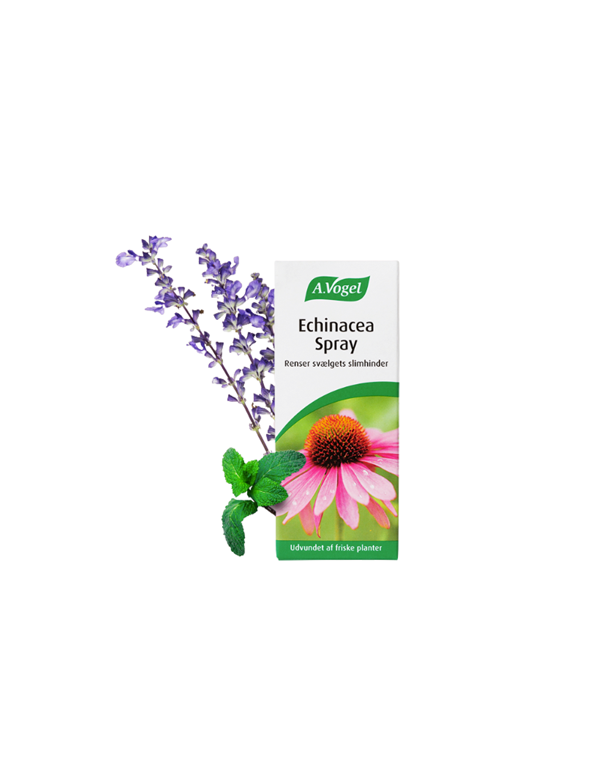 Echinacea Spray 30 ml