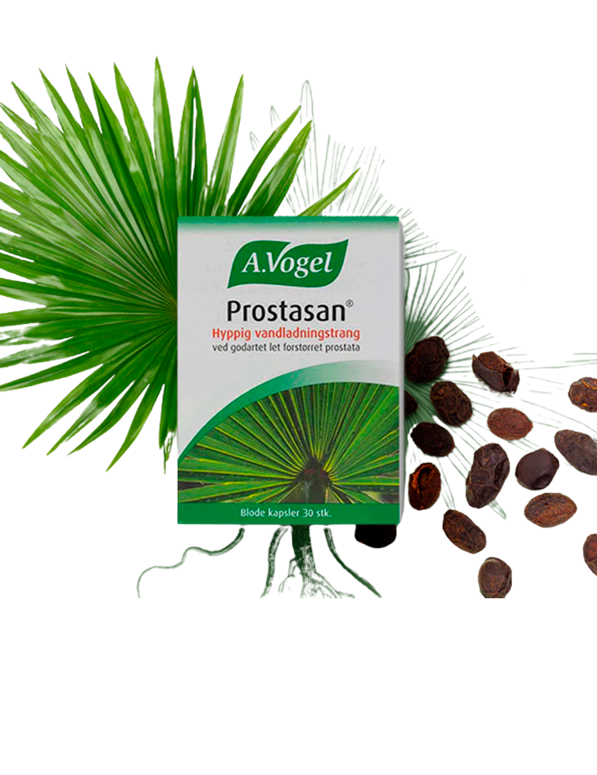 Prostasan 30 kapslar