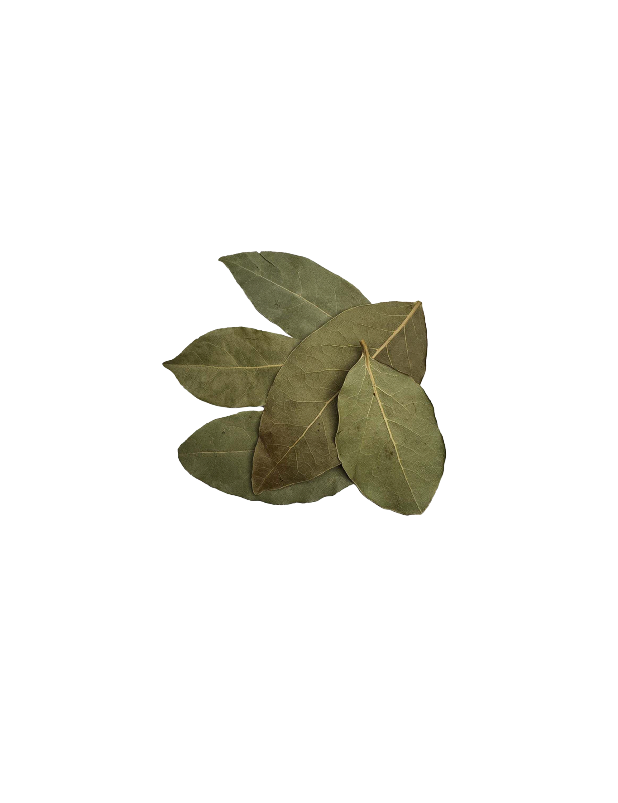 Ekologiska Lagerblad