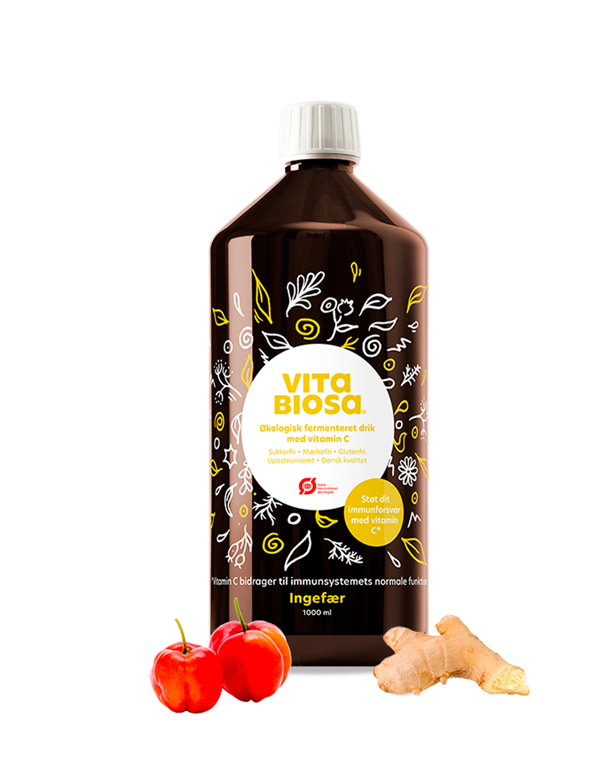 Vita Biosa Ingefära – 1 l