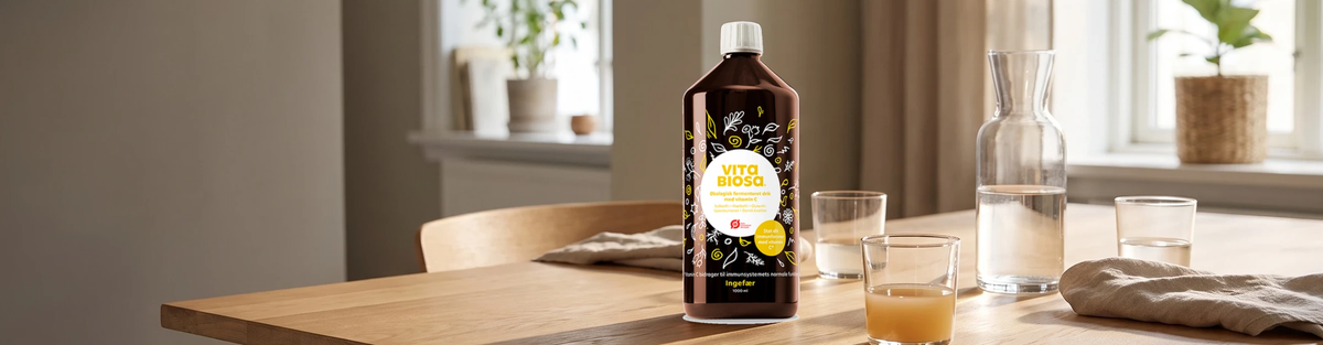 Vita Biosa Ingefær – 1 l