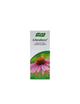 Echinaforce 100 ml