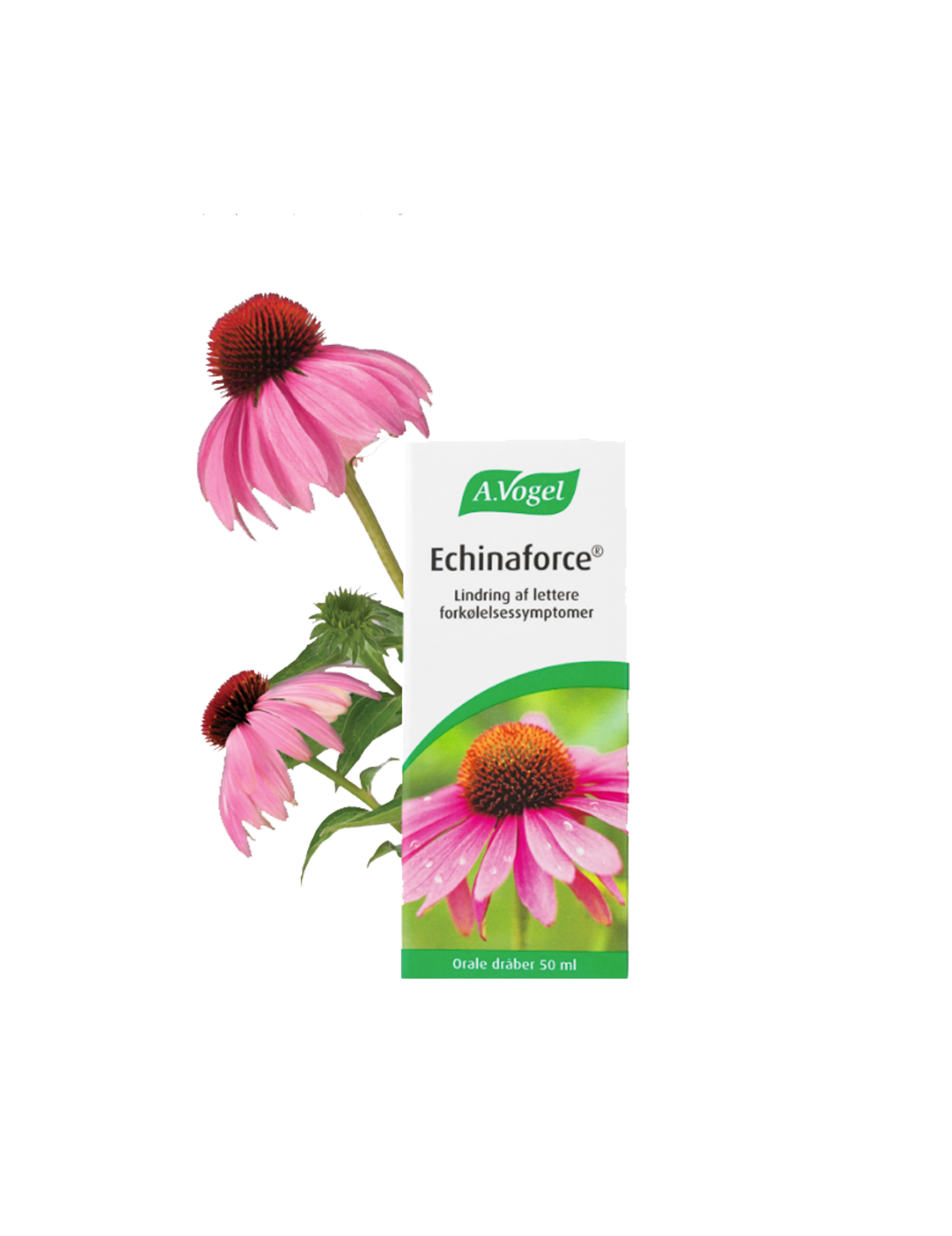 Echinaforce 50 ml