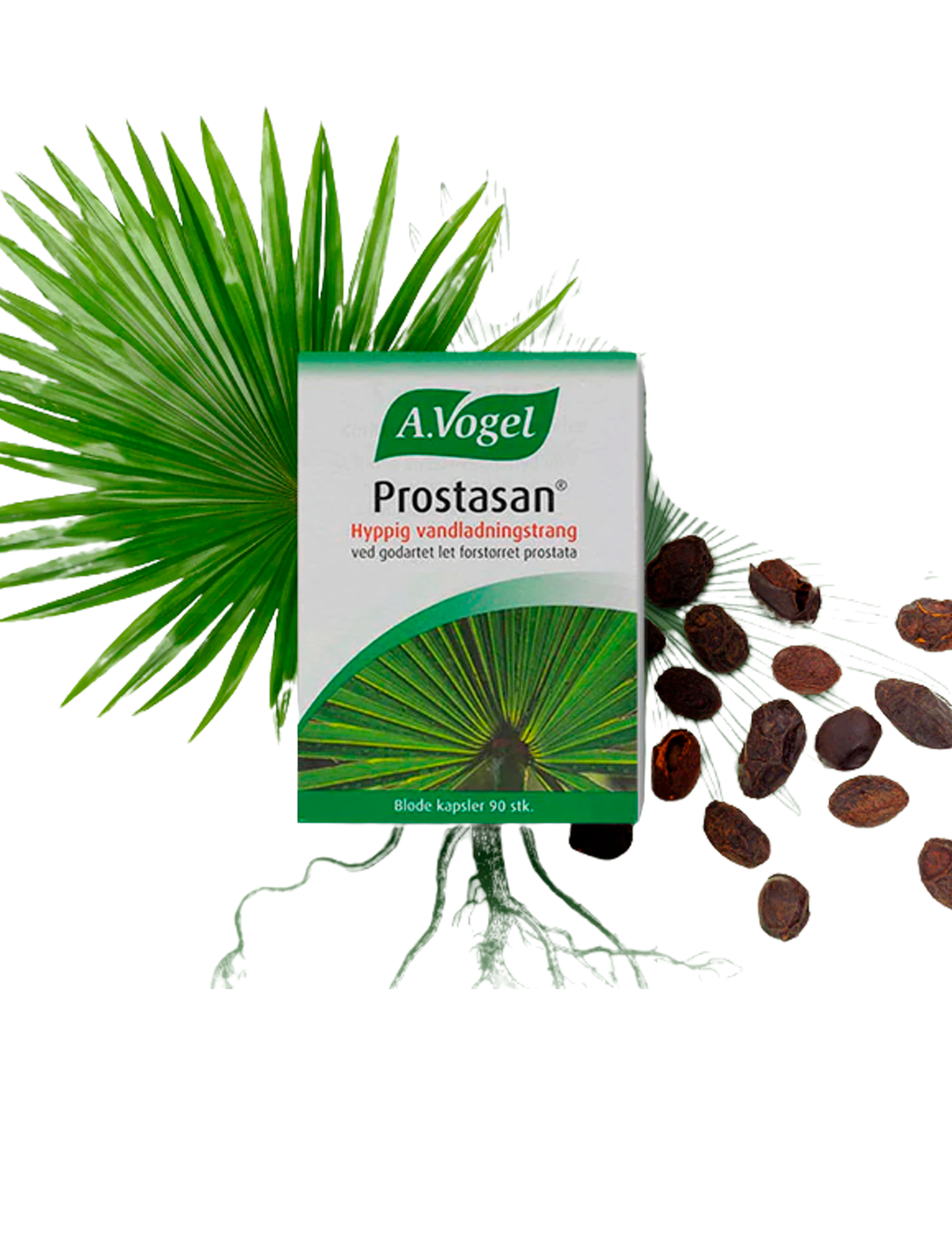 Prostasan 90 kapslar