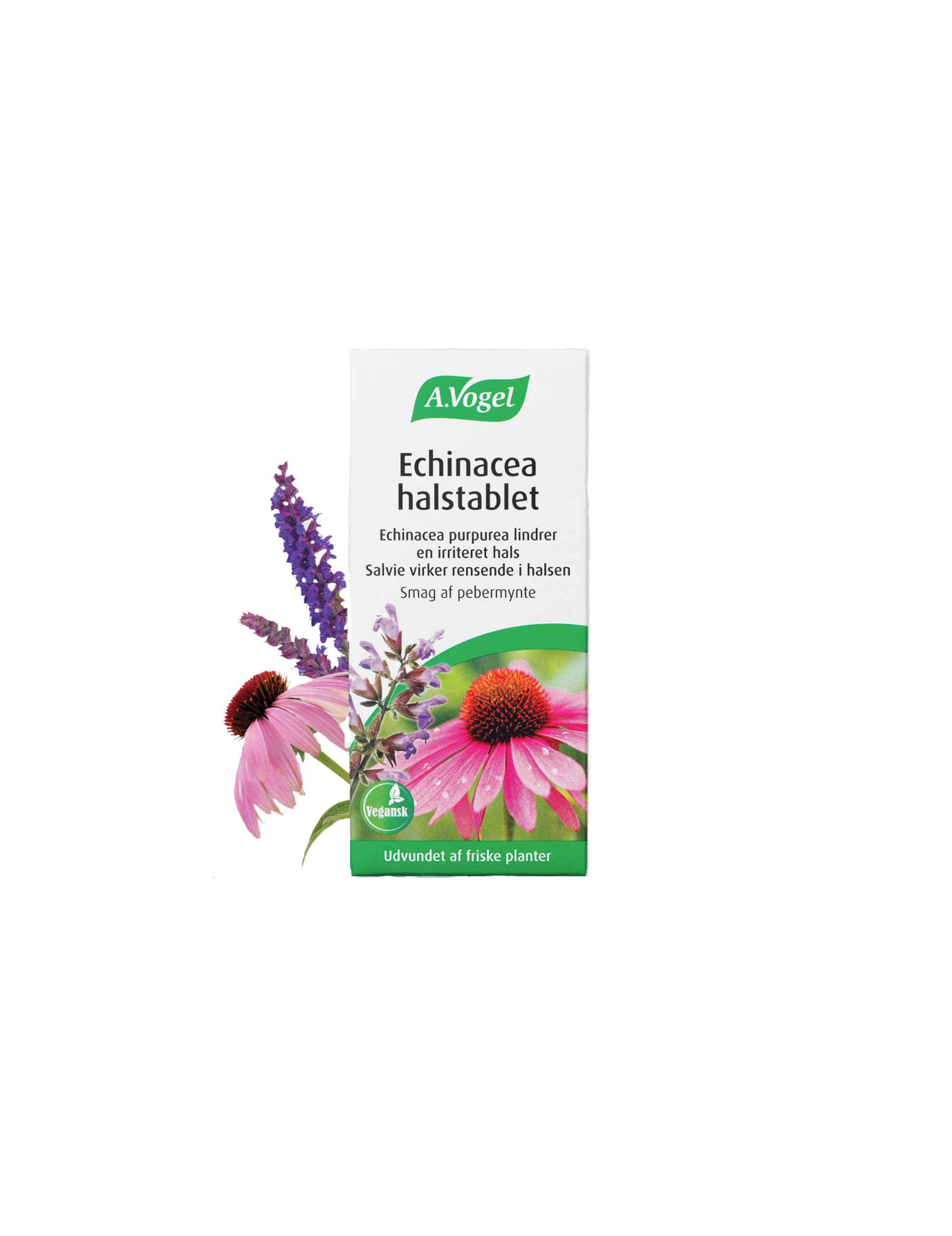 Echinacea halsstablett (20 st.)