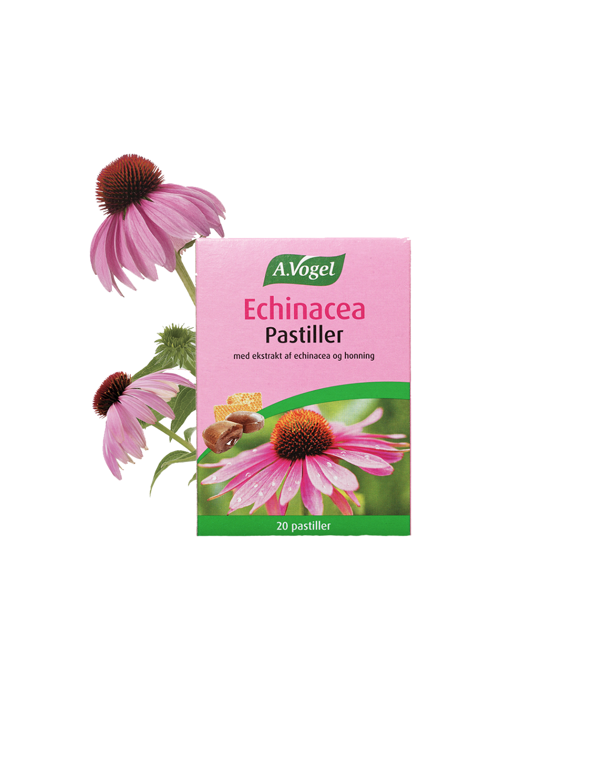 Echinacea sugtabletter (42 g)
