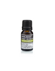 Eterisk olja Citronella (10 ml)