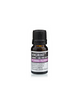 Eterisk Olja Ylang Ylang (10 ml)
