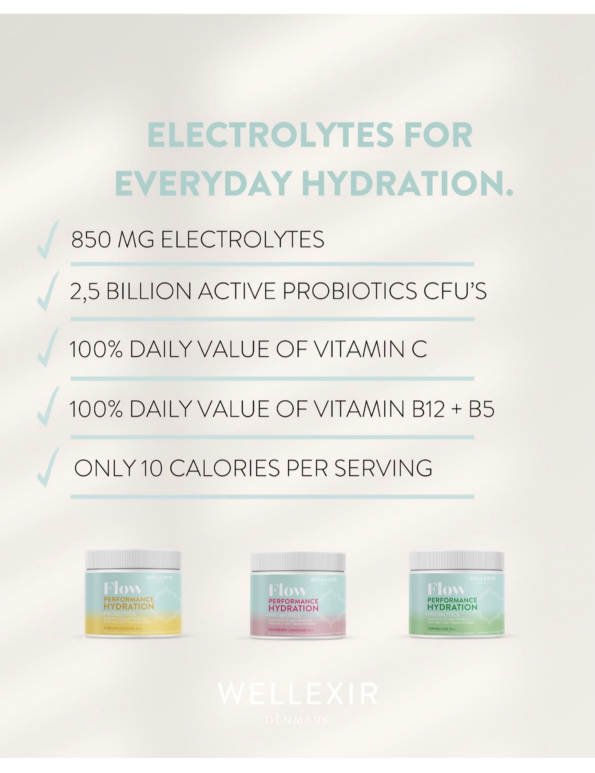 Flow Performance Hydration – Raspberry Lemonade (300 g)