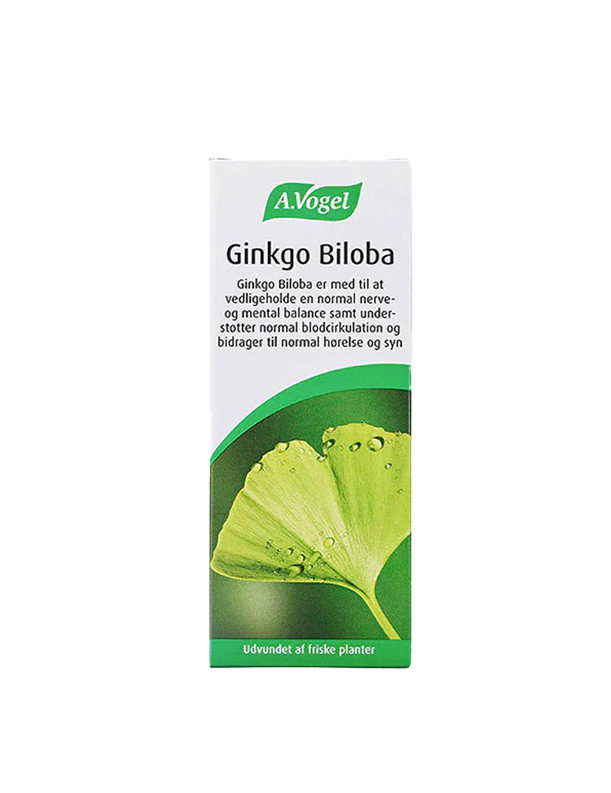 Ginkgo Biloba 100 ml