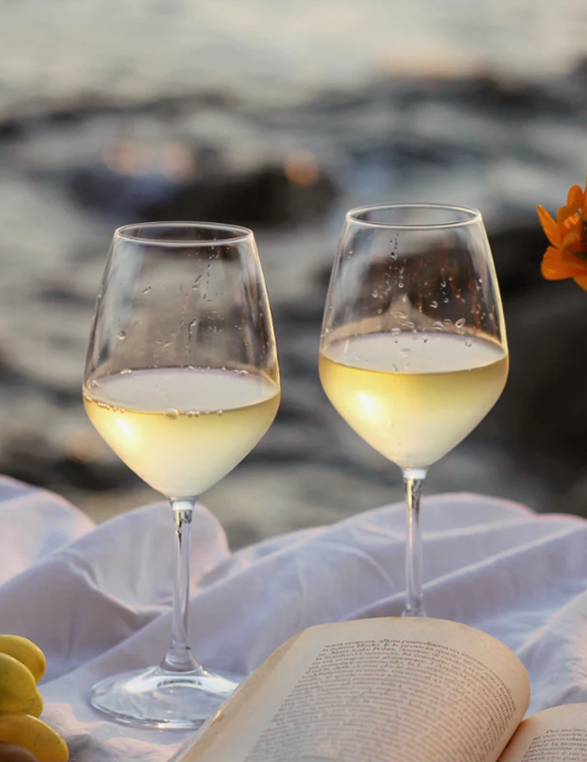 Sauvignon vitt vin
