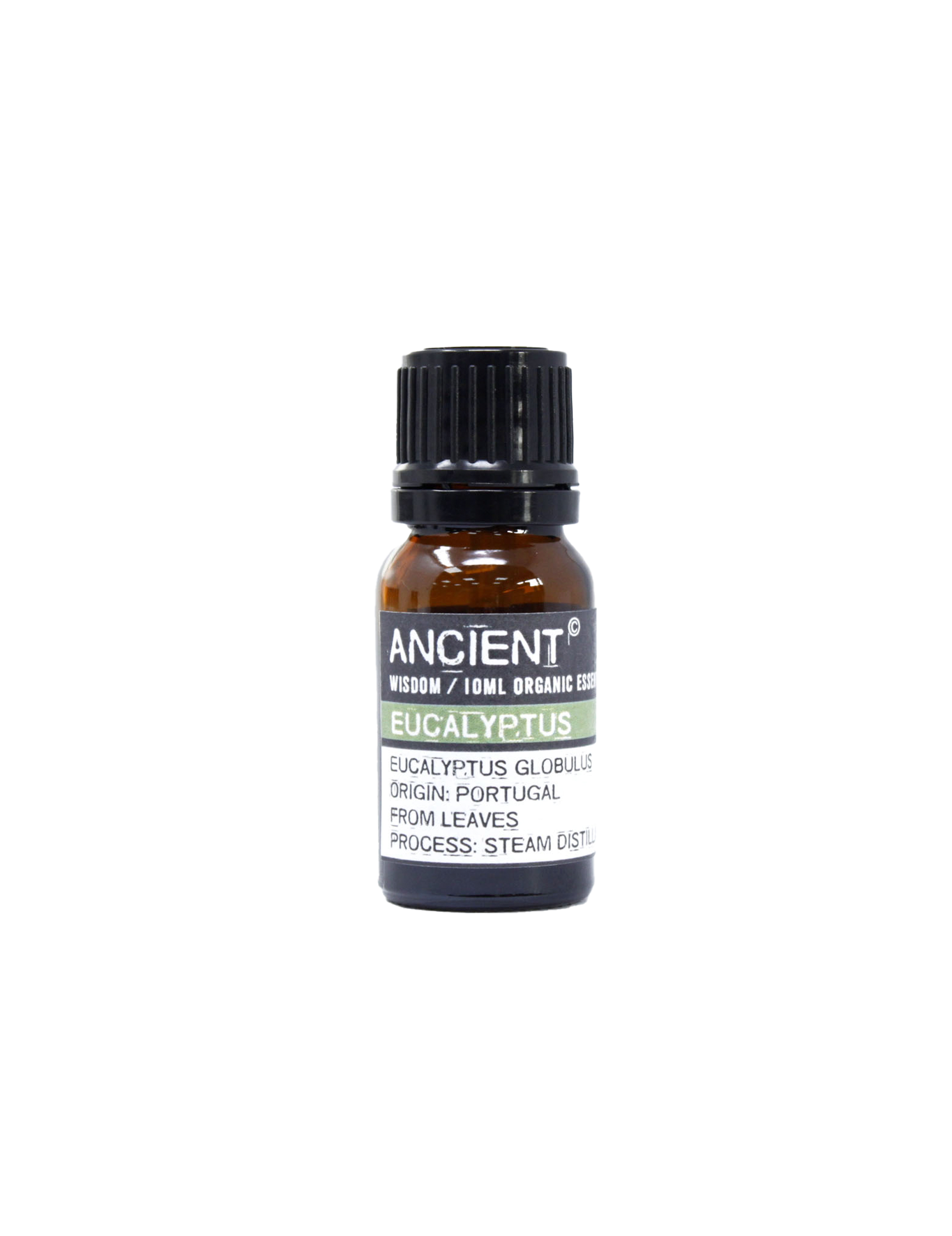 Ekologisk eterisk olja – Eucalyptus (10 ml)