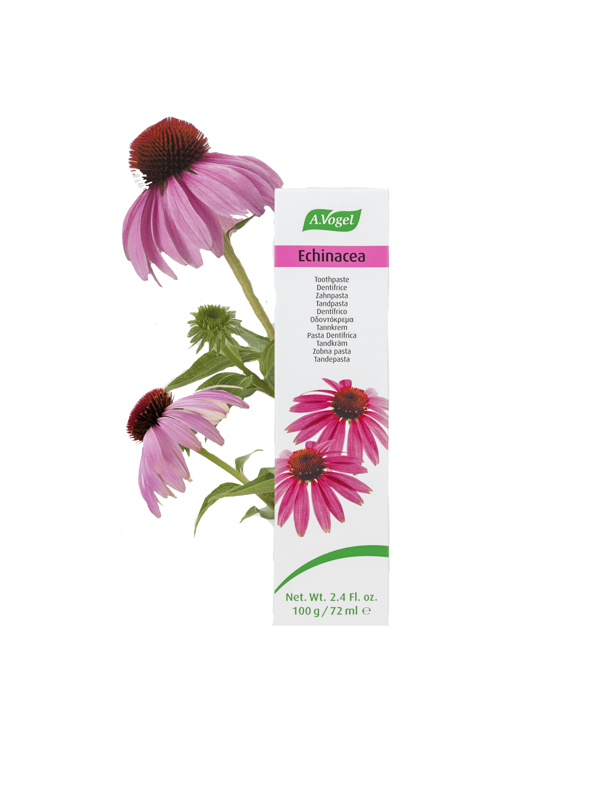 Echinacea tandkräm (100 g)