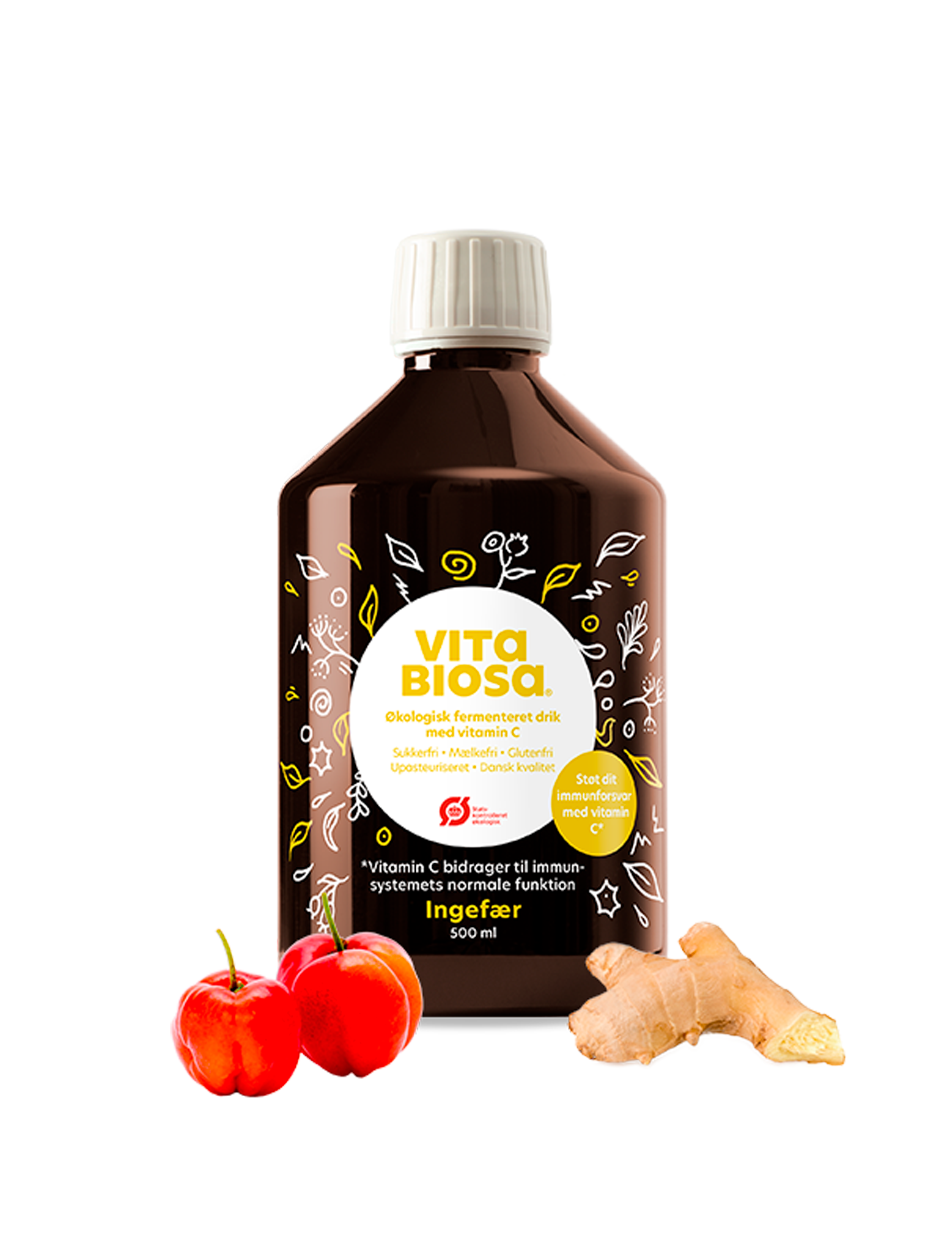 Vita Biosa Ingefära – 500 ml
