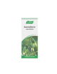 Avenaforce 100 ml