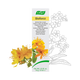 A.Vogel Bioforce Creme 35 g